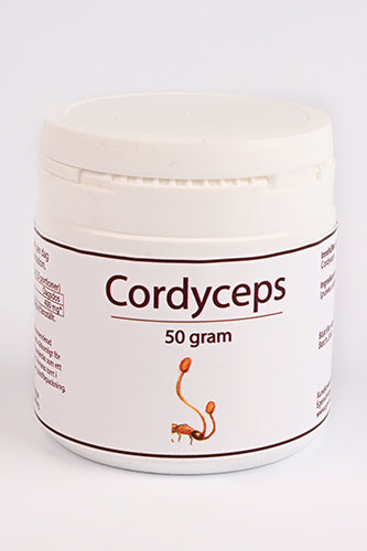 Cordyceps