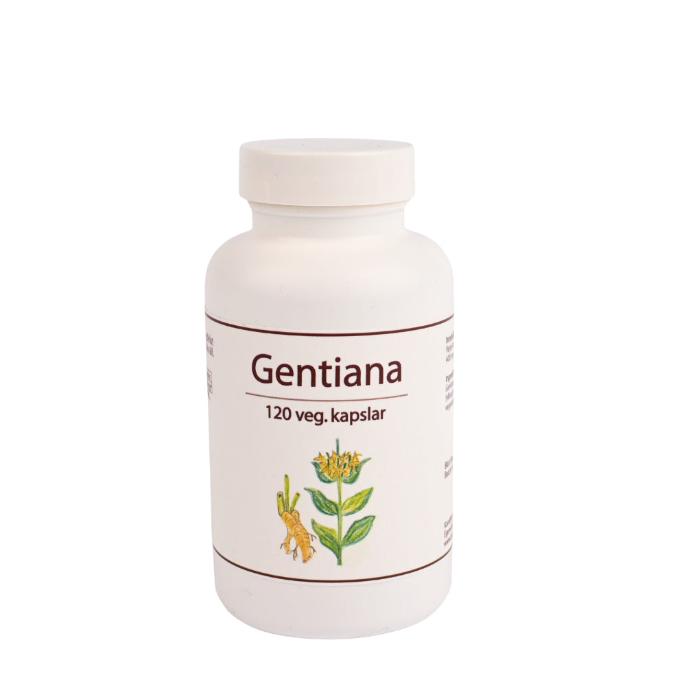 Gentiana 120 kap