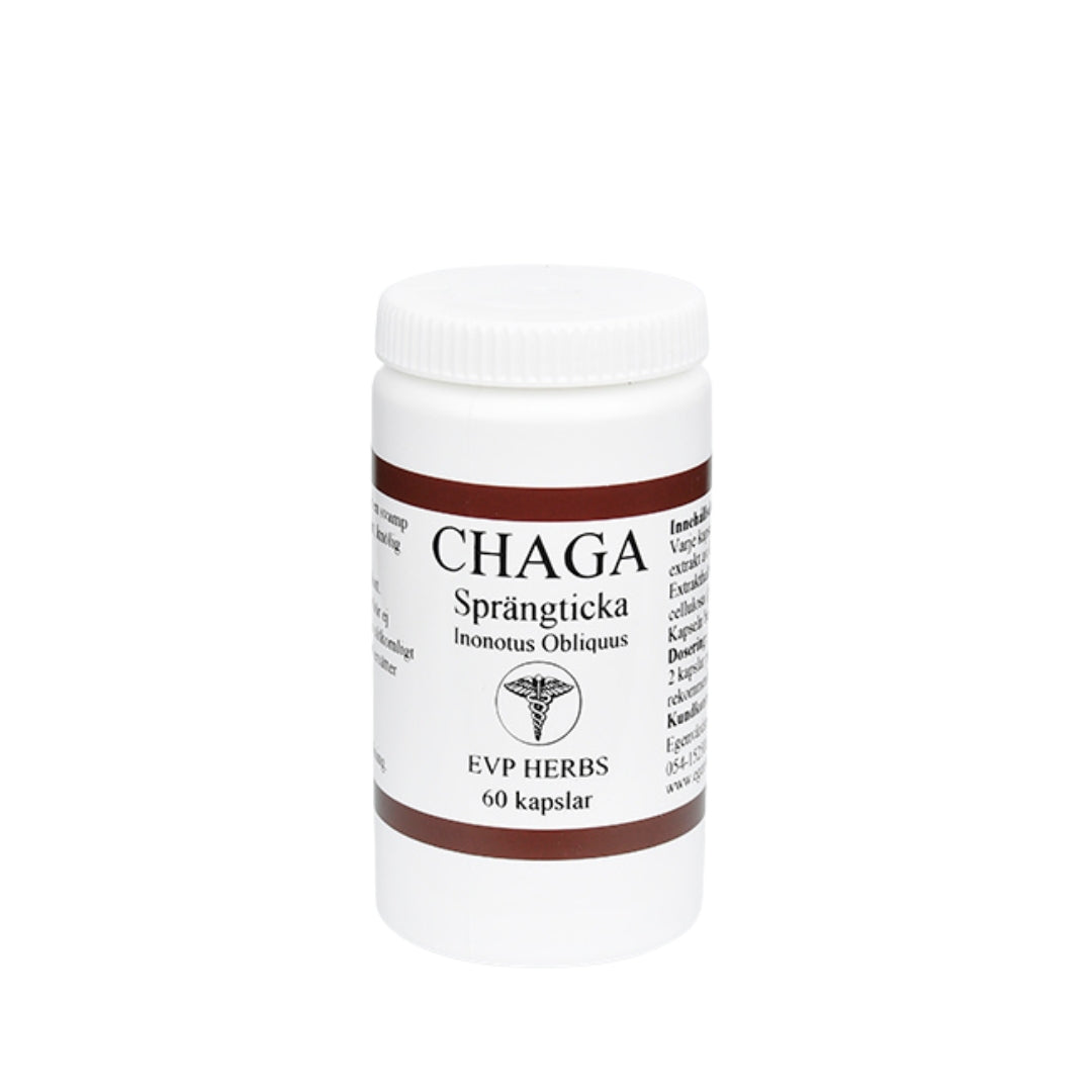Chaga 60 kjs