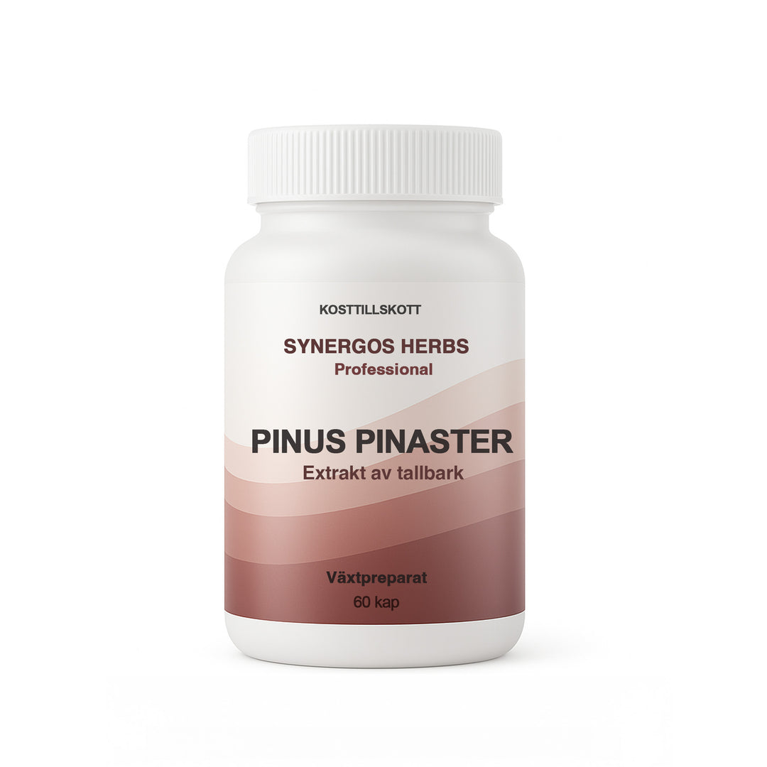 Pinus Pinaster 60 kap