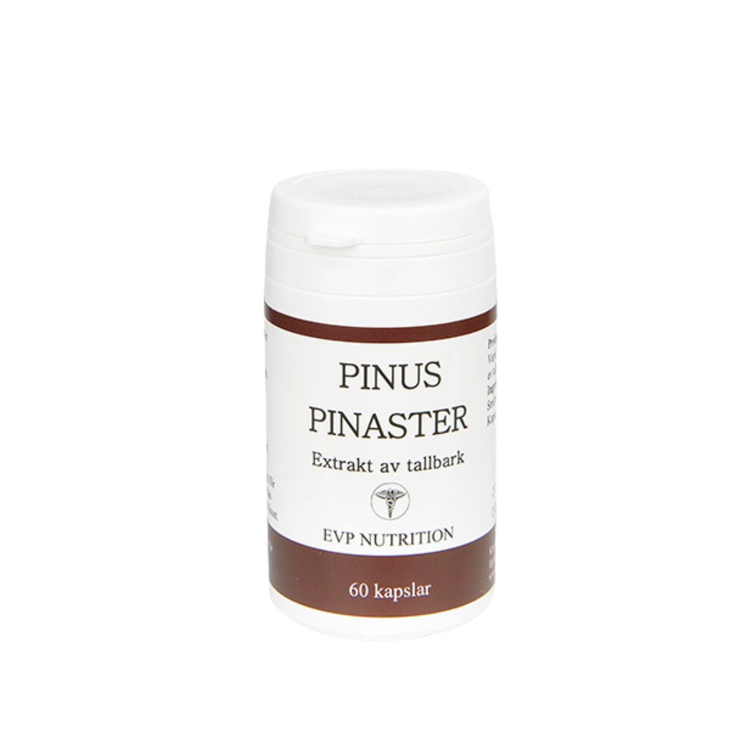 Pinus Pinaster 60 kap