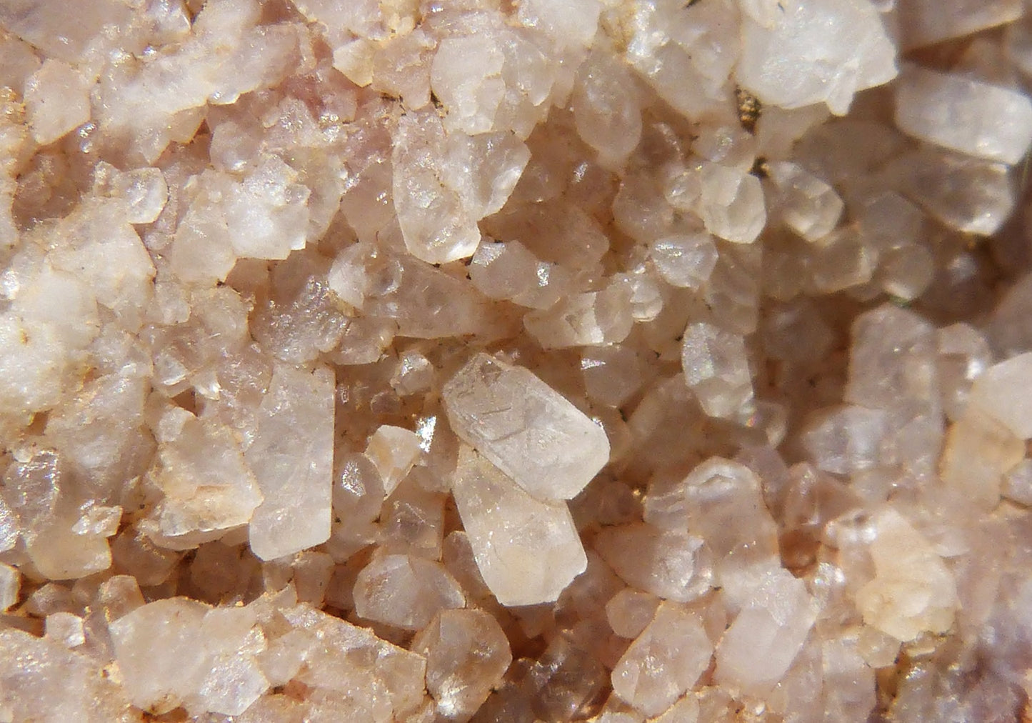 Upptäck fördelarna med Zink